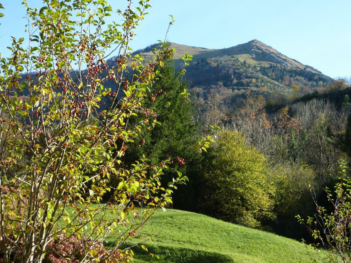 Le Rey Campsite Louvie Juzon
